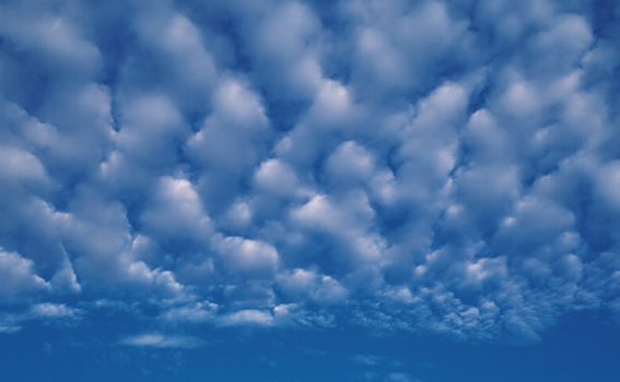 雲と天気予報　静岡市のダイビングショップフリースタイル