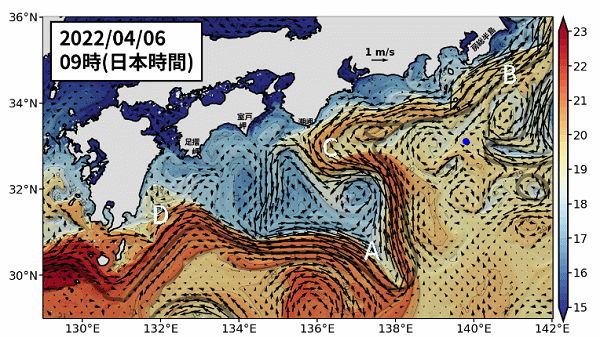 海況予測　静岡市のダイビングショップフリースタイルです。